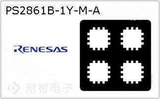 PS2861B-1Y-M-A