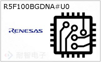 R5F100BGDNA#U0