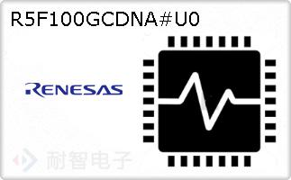 R5F100GCDNA#U0