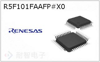 R5F101FAAFP#X0