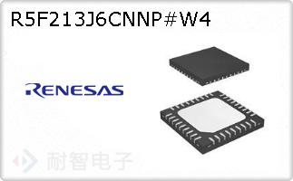 R5F213J6CNNP#W4