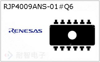 RJP4009ANS-01#Q6