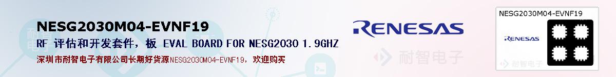 NESG2030M04-EVNF19ıۺͼ