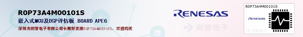 R0P73A4M00101Sıۺͼ