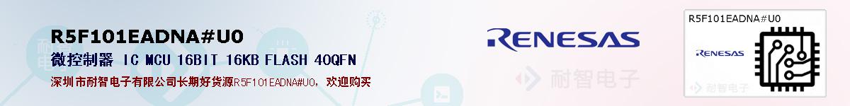 R5F101EADNA#U0ıۺͼ
