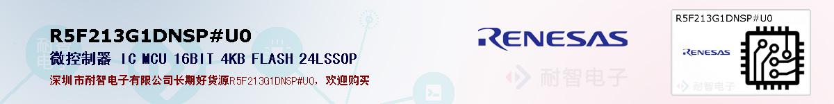 R5F213G1DNSP#U0ıۺͼ
