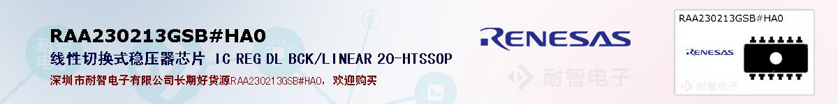 RAA230213GSB#HA0ıۺͼ