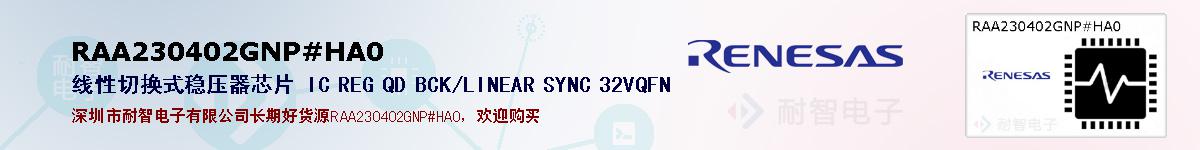 RAA230402GNP#HA0ıۺͼ