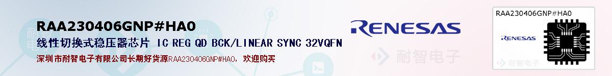 RAA230406GNP#HA0ıۺͼ