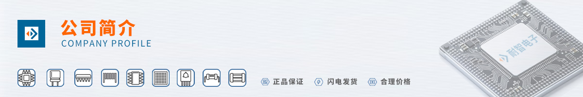 ����(RENESAS)��˾����