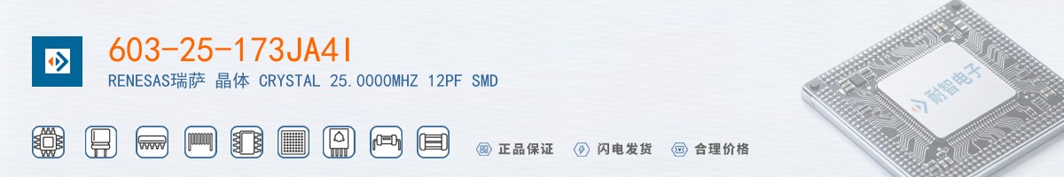 603-25-173JA4I������