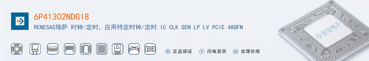 6P41302NDGI8������