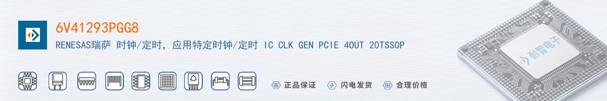 6V41293PGG8������