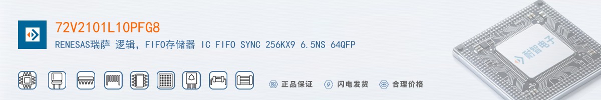 72V2101L10PFG8������
