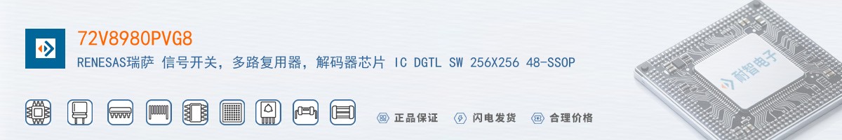 72V8980PVG8������