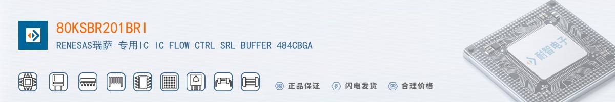 80KSBR201BRI������