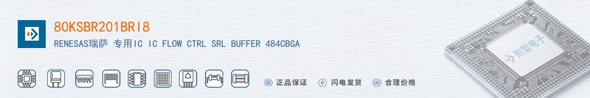 80KSBR201BRI8������