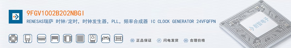 9FGV1002B202NBGI������