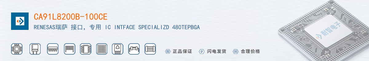 CA91L8200B-100CE������