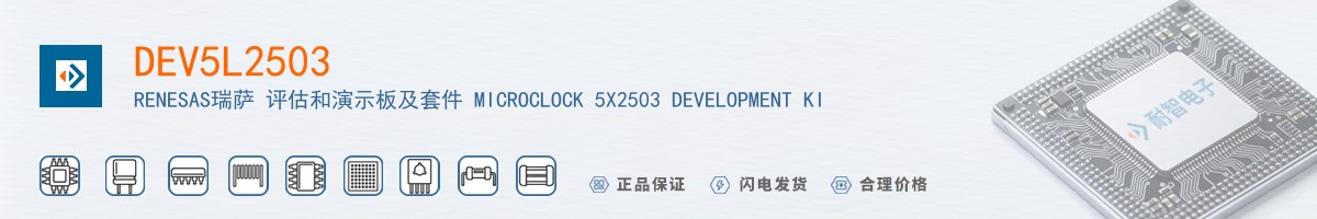 DEV5L2503������