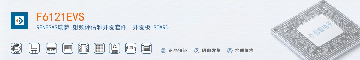 F6121EVS������