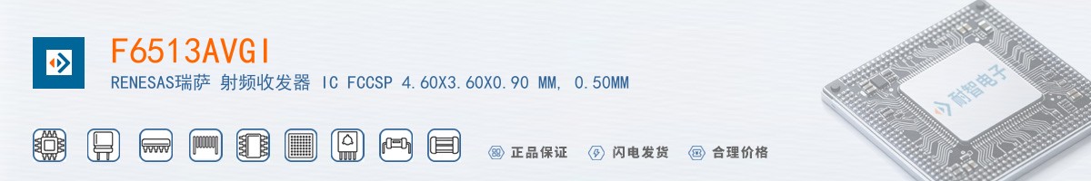 F6513AVGI������
