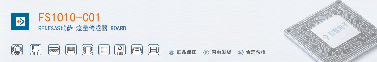 FS1010-C01������