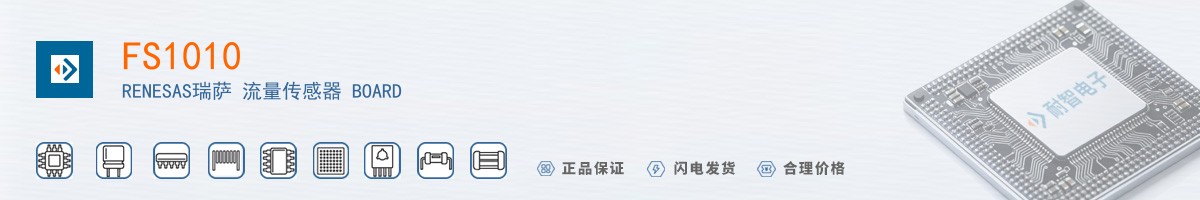 FS1010������