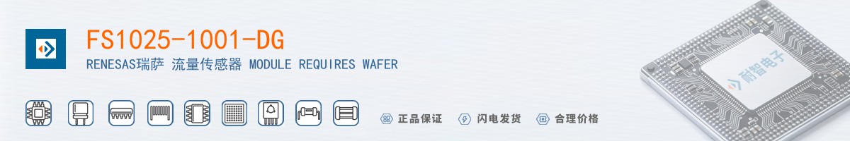 FS1025-1001-DG������