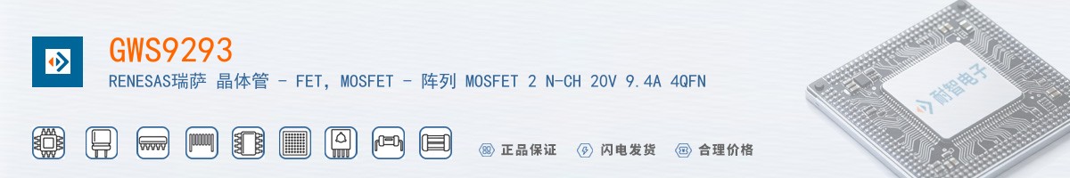 GWS9293������