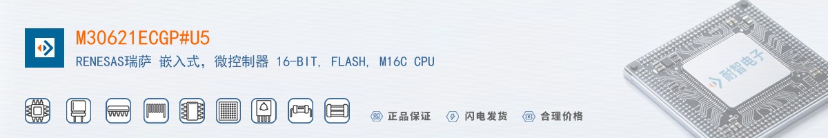 M30621ECGP#U5������