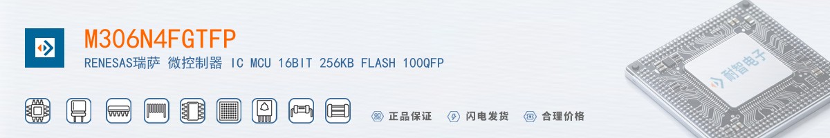 M306N4FGTFP������