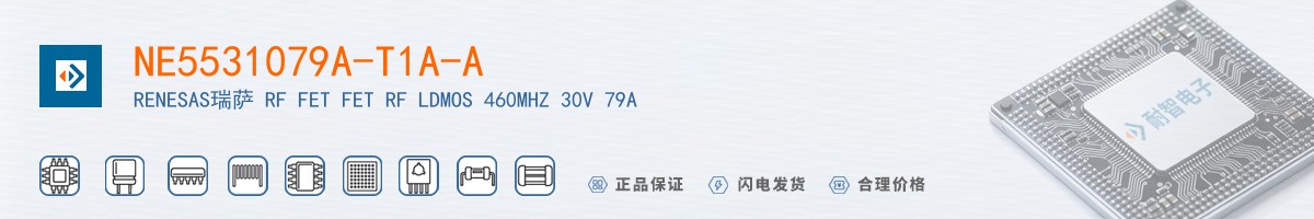 NE5531079A-T1A-A������