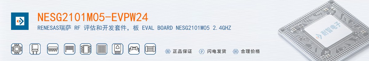 NESG2101M05-EVPW24������