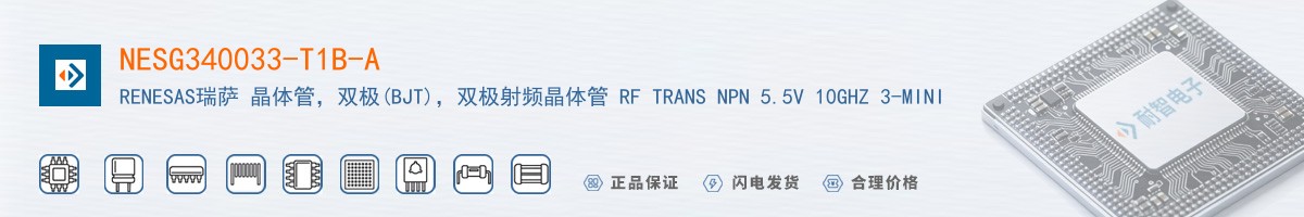 NESG340033-T1B-A������