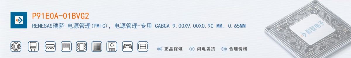 P91E0A-01BVG2������