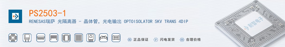 PS2503-1������