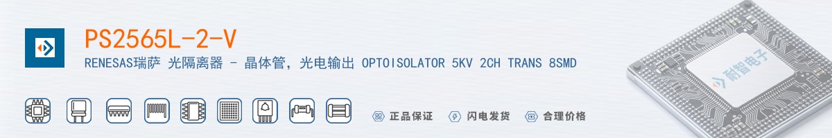 PS2565L-2-V������