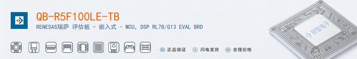 QB-R5F100LE-TB������