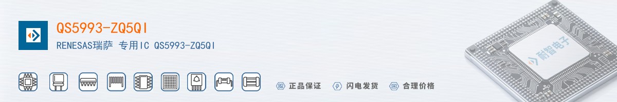 QS5993-ZQ5QI������