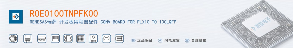 R0E0100TNPFK00������