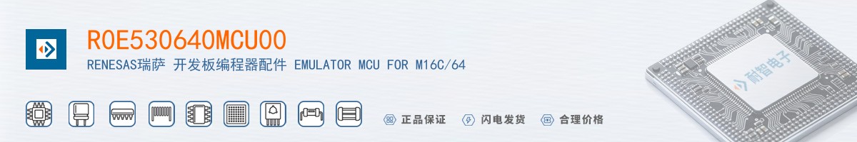 R0E530640MCU00������