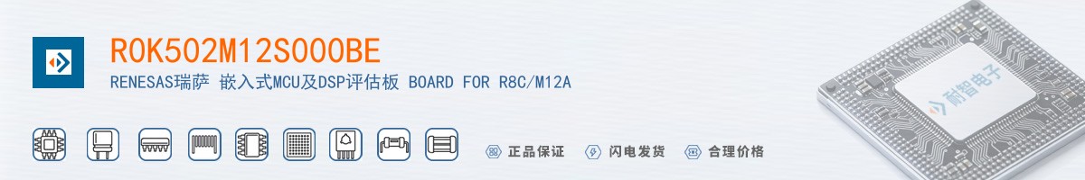 R0K502M12S000BE������