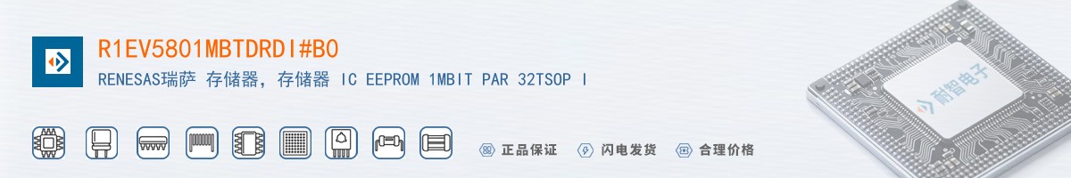 R1EV5801MBTDRDI#B0������