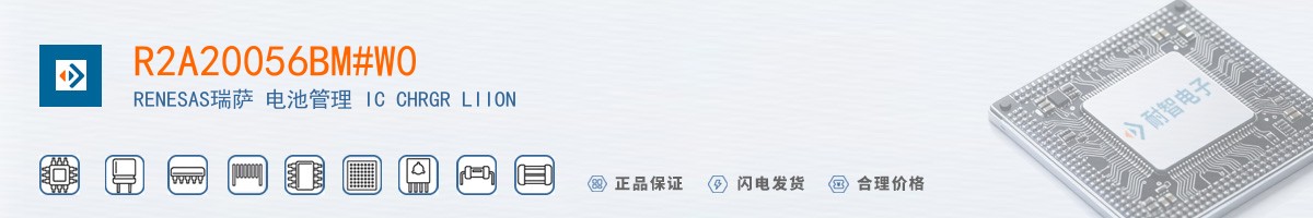 R2A20056BM#W0������