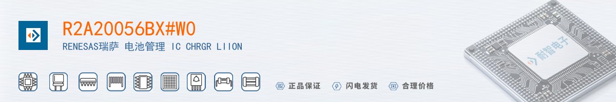 R2A20056BX#W0������