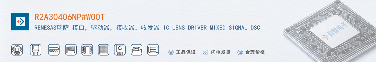 R2A30406NP#W00T������