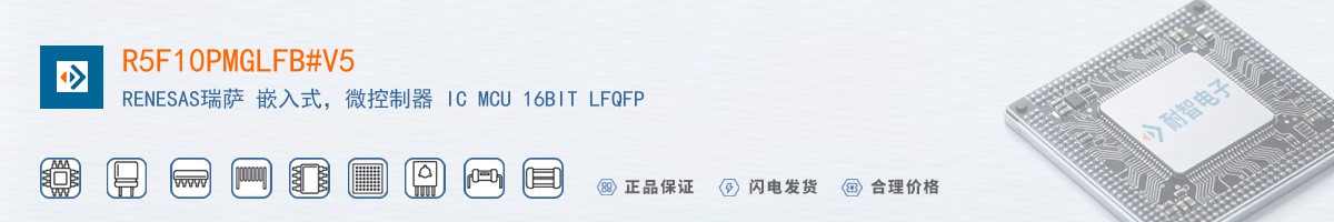 R5F10PMGLFB#V5������