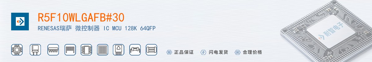 R5F10WLGAFB#30������