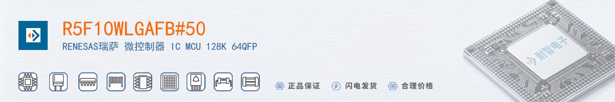 R5F10WLGAFB#50������